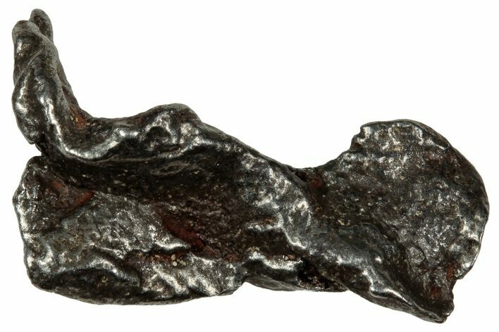 Gibeon Iron Meteorite ( g) - Namibia #334713